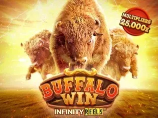 Buffalo Win screenshot